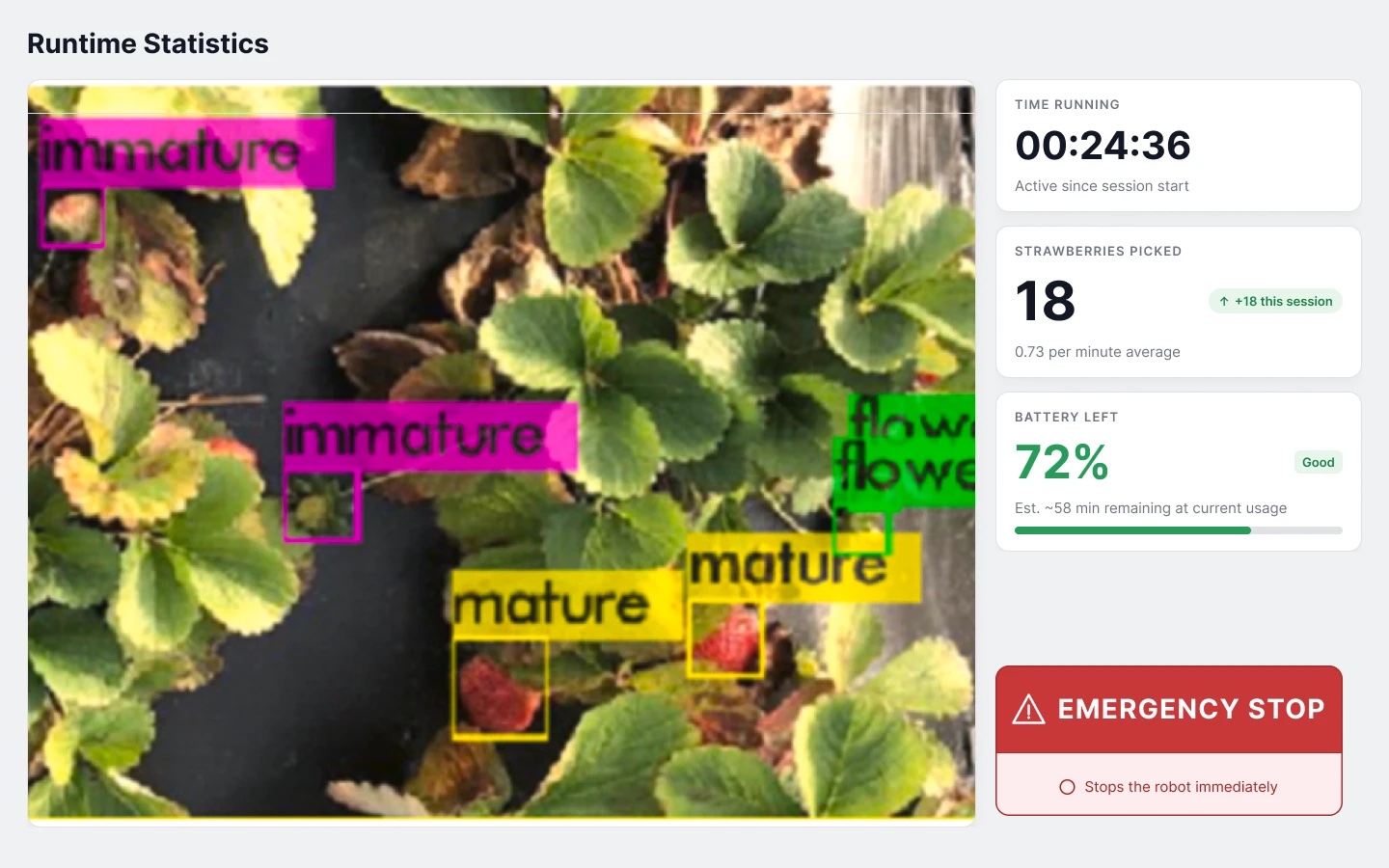 The same runtime statistics with the live camera view in place of the field map, showing strawberries labelled mature, immature and flower.